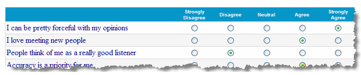 disc classic questionnaire forced choice disc partners