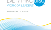 disc work of leaders facilitation kit disc partners