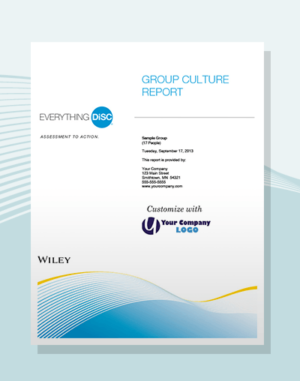disc group culture report disc partners