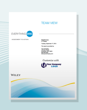 everything disc team view report disc partners