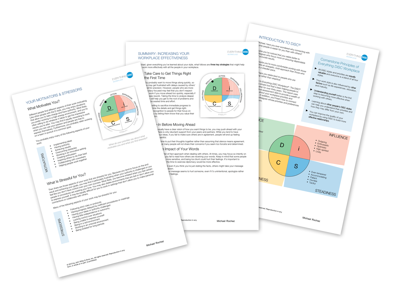 everything-disc-workplace-profile-report-sample