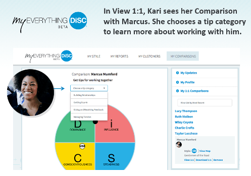 everything-disc-workplace-profile-report-sample